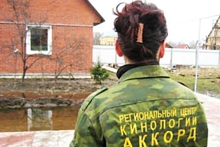 История школы дрессировки Аккорд