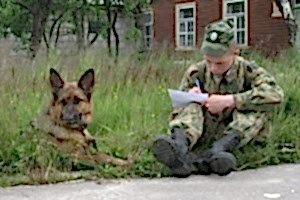 Кто такой кинолог