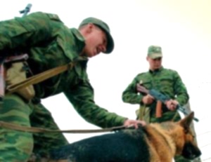 Как стать кинологом