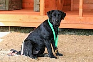 Скидки клиентам нашего центра