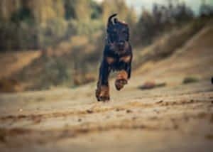 Скидки клиентам нашего центра