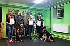 курсы хендлеров