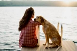 ОСНОВЫ ДРЕССИРОВКИ СОБАК