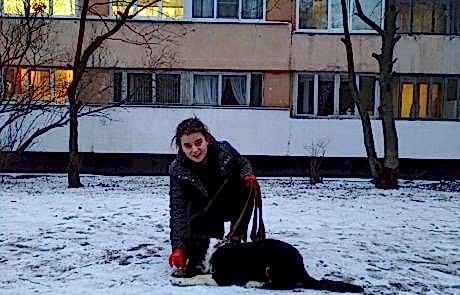 Бордер-колли