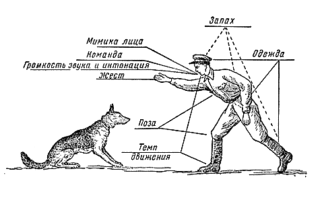 Раздражители